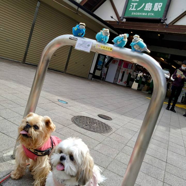 9a0c7b76 e1fc 4472 b31a aabae56231b9 1679365518909