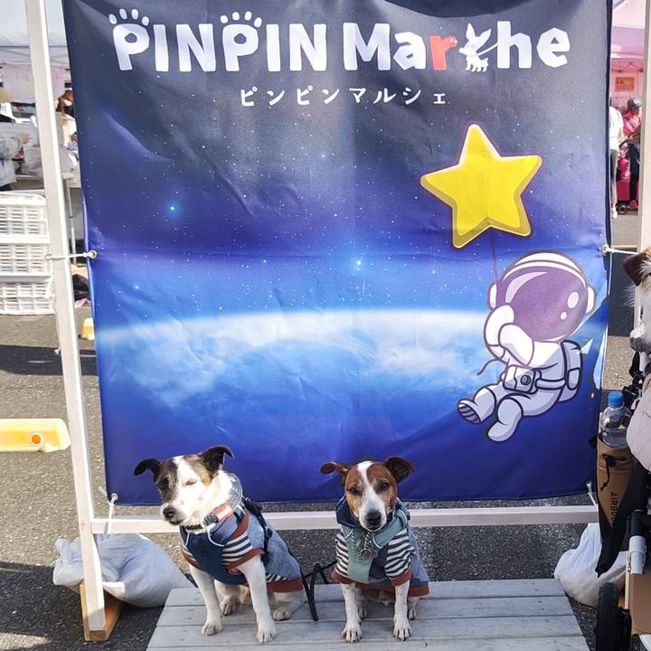 9a0d14af 68cc 4db1 9ccd be554dd7545b 1746271185509