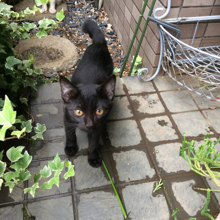 9a0d3d1f 00c7 4da8 bd8a ab8b4659e5ce 1572188909522