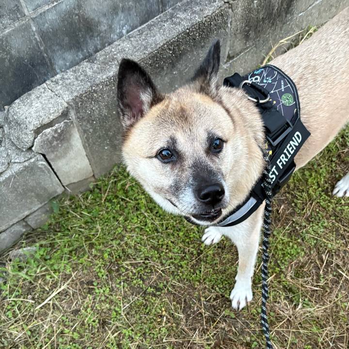 9a0d8396 fdb2 41aa a11b 6c742c1e8960 1758026765903