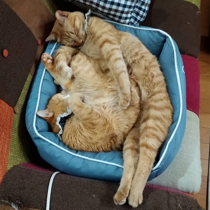 9a0e508d 6ad1 4a62 a891 abb073422ddc 1610946963959