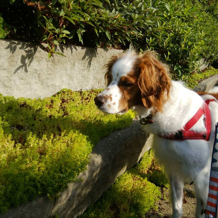 9a0e59d0 3fc8 45a0 be08 5c6b5d67da33 1532130149757