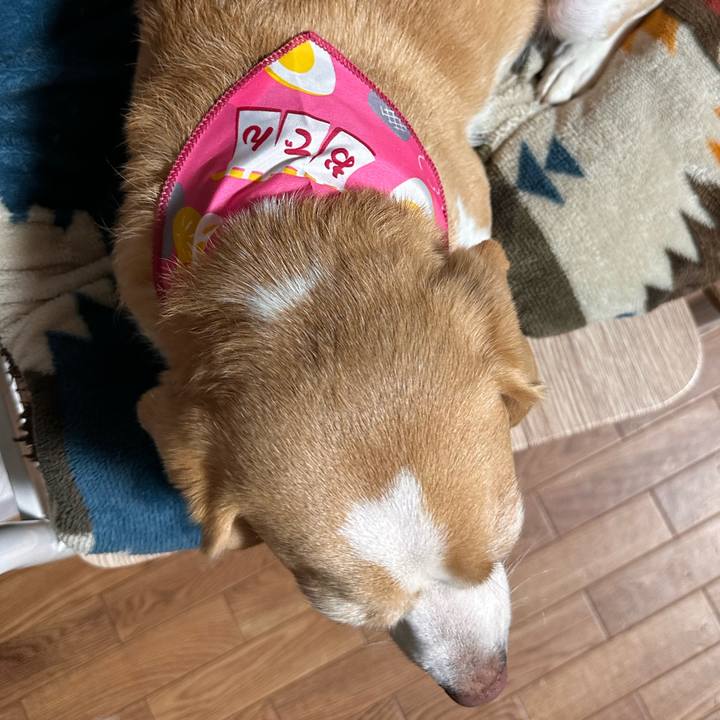 9a0e5cfb 3b5d 4240 b1de 5edbc037cb25 1668752892886