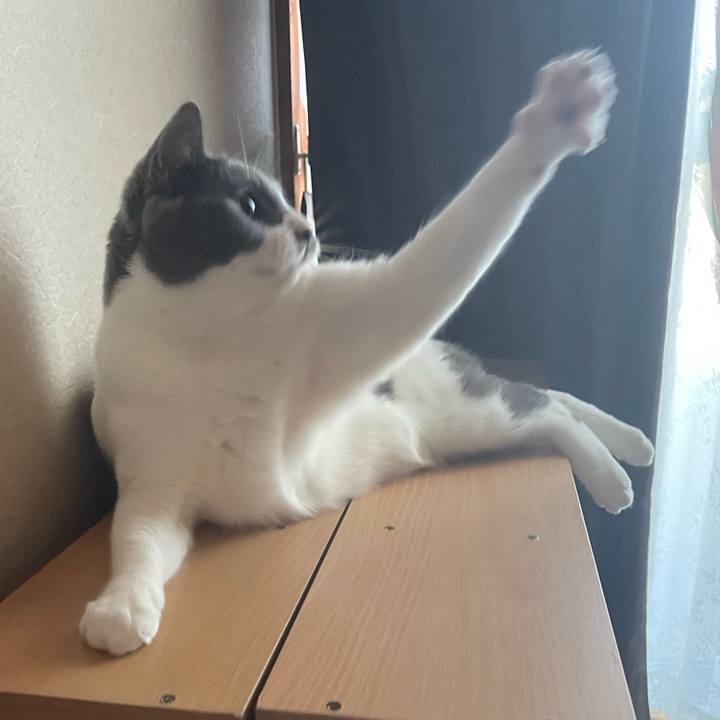 9a0e69d6 43e7 4deb b93c 1d6eef4af8ba 1659085017000