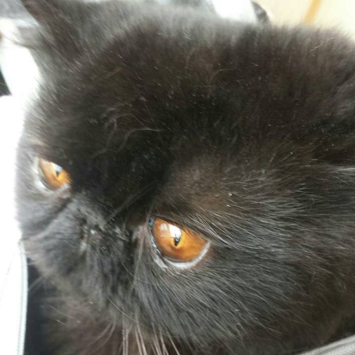 9a0e8ec7 c302 43d8 8810 ab5a3eadc19b 1527302856784