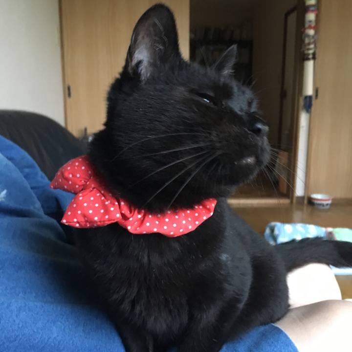 9a0e9202 1c2d 41a5 992b d242fc3b6525 1537564295175