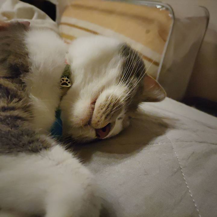 9a0ec122 cf1b 457f bab5 4396d9f232b6 1691502157808