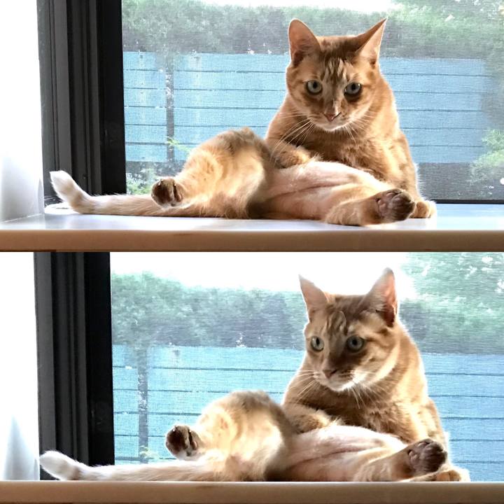 9a0ecb5b 8f63 42d9 86d6 da76406d14c0 1538282432031