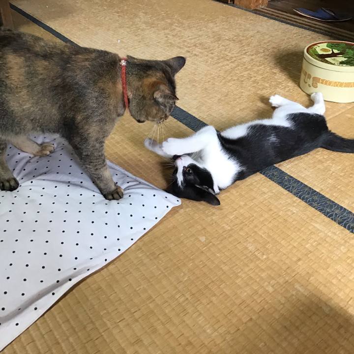 9a0edfd8 f4aa 48ae a6f5 4152181024e6 1629684942354