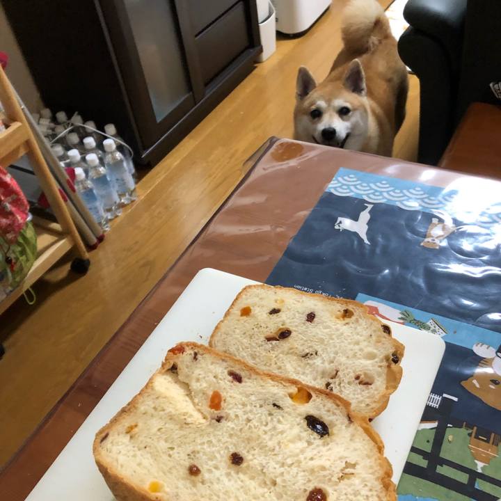 9a0ee81f 0103 486b b124 57a549716129 1566956285240