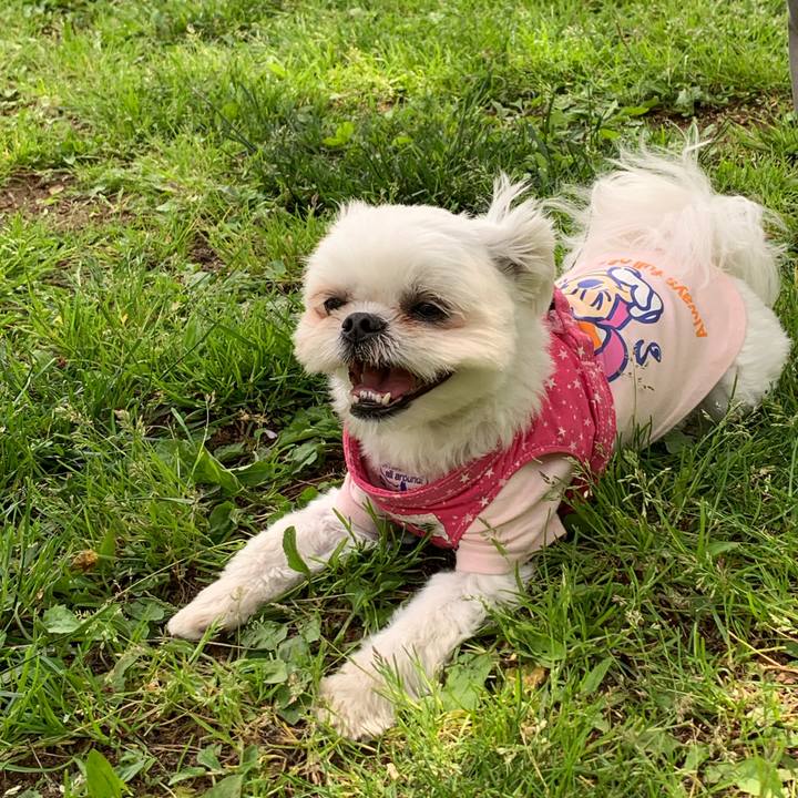 9a0eebba cc7c 42f9 99df 42c111b196ee 1682769358904