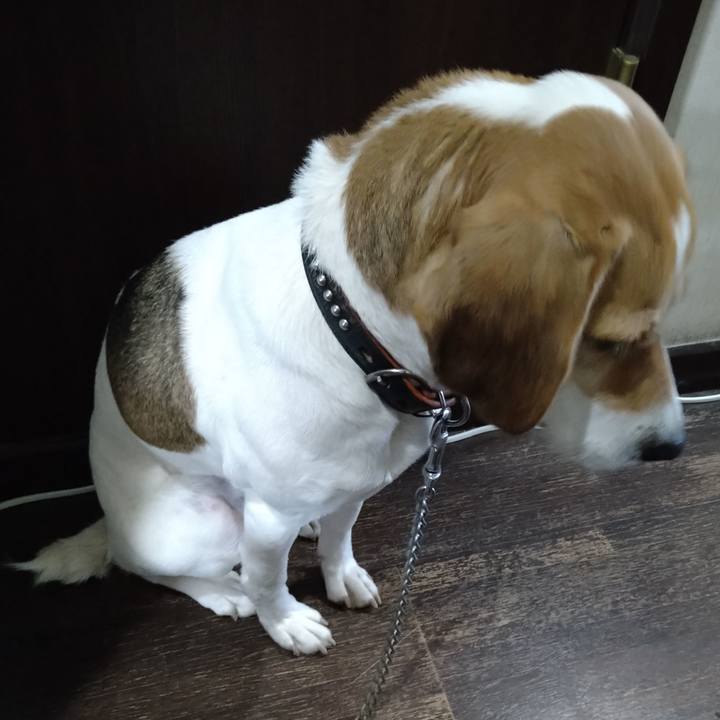 9a0ef1b2 bf40 453d 8860 5bfec9f4278c 1643011218602