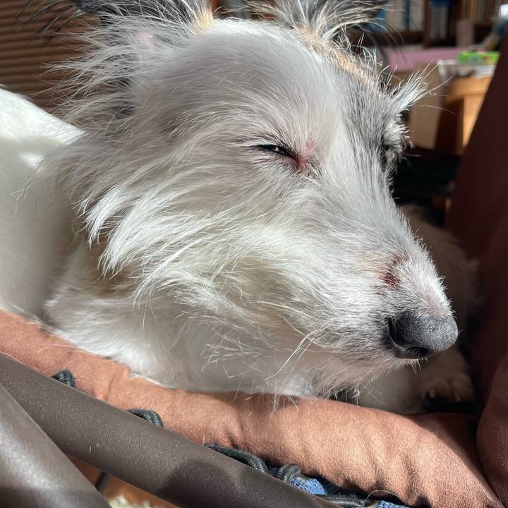 9a0ef2dd e9a6 4b10 a349 175854854c1d 1766452780271