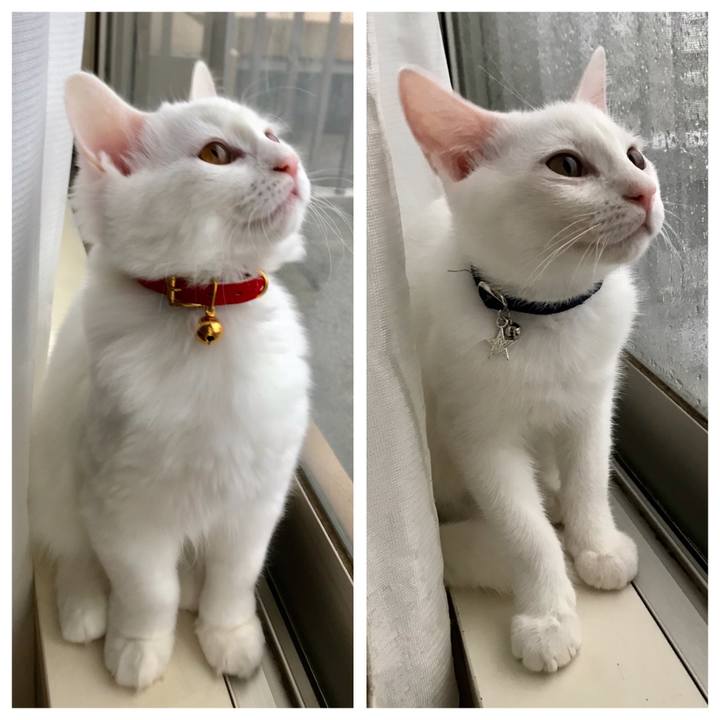 9a0f0dcd 8f43 459c 8e51 91a4aef00288 1571042154792