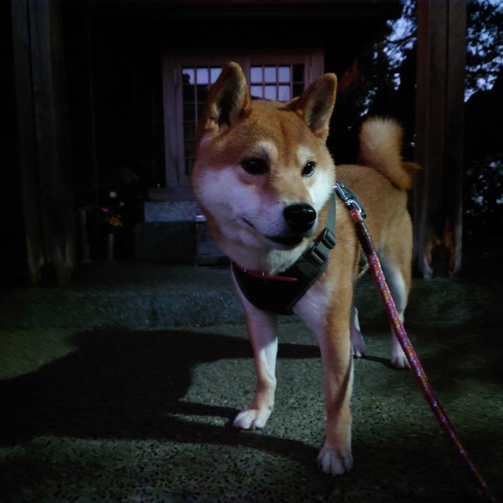 9a0f1a07 2bbf 4bf0 84d4 eebf13a71135 1764586775890