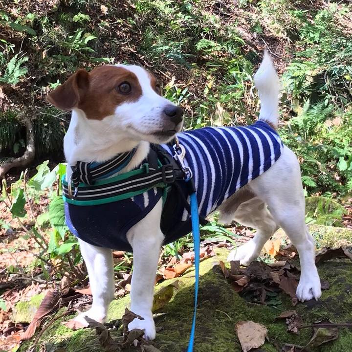 9a0f21ce a8d9 4d59 aae4 f60becfe04c9 1573037875116