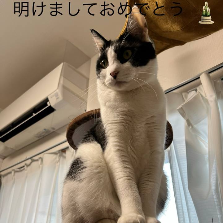 9a0f4c19 3d35 48ab a1ad 7f18ab23570a 1735866037137