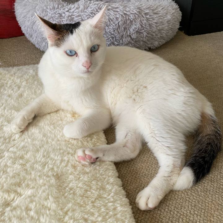 9a0f7118 40e1 46fe 9a8e e86e04028080 1670713844043