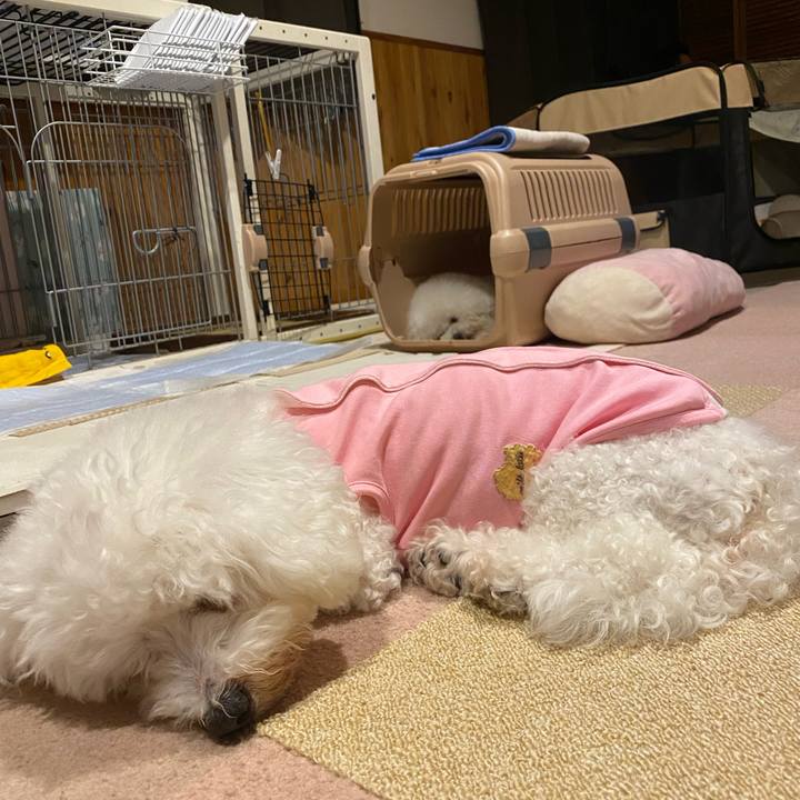 9a0f8b9e eab6 4858 b58f 53abb6398e36 1727525094283