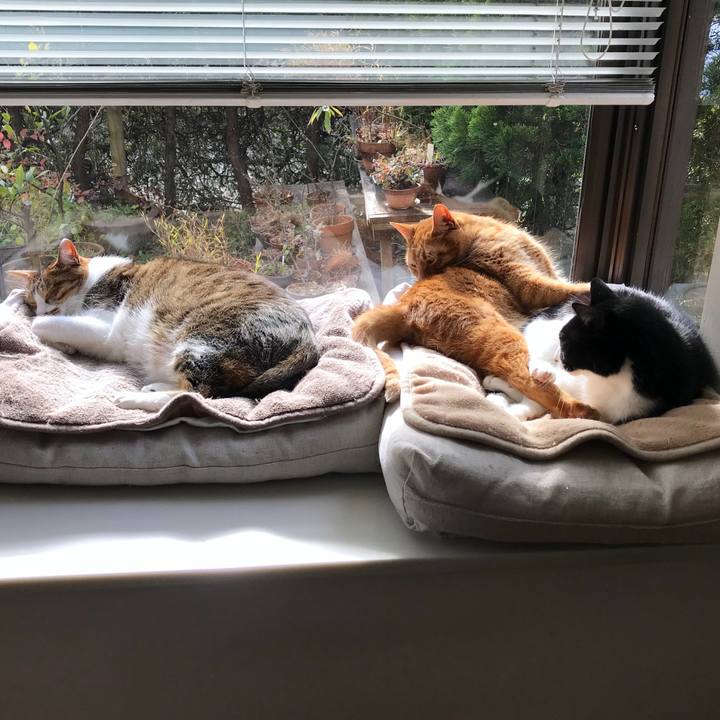 9a0f91e5 4ffb 483b 8e8d d92c281ac747 1516419534709