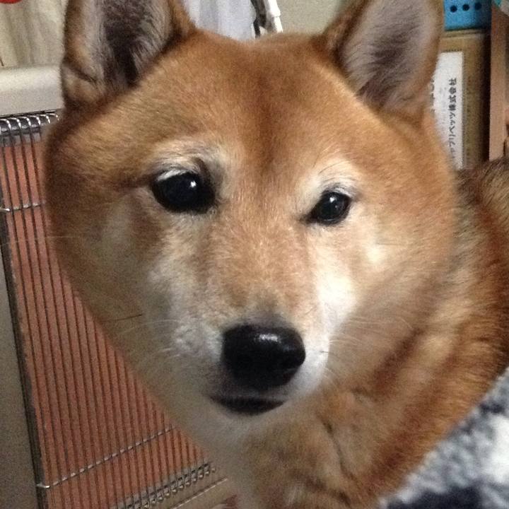 9a0f93a6 606a 423e a591 6f77a8f73ac7 1544146230151