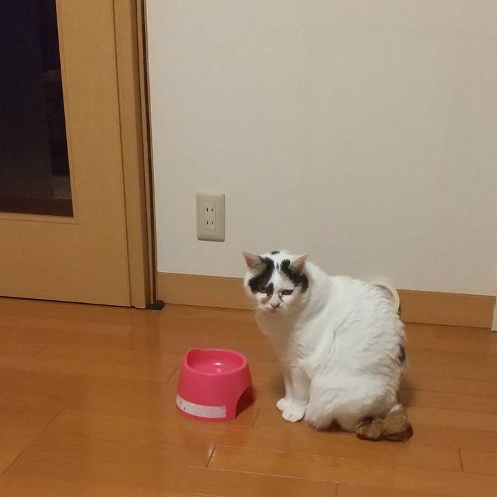 9a0fcaeb 7aab 4218 b26e 0daf7cea6a06 1602838019189