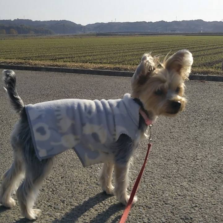 9a0feaa7 0276 4345 ac56 37d412b9de18 1575959925188