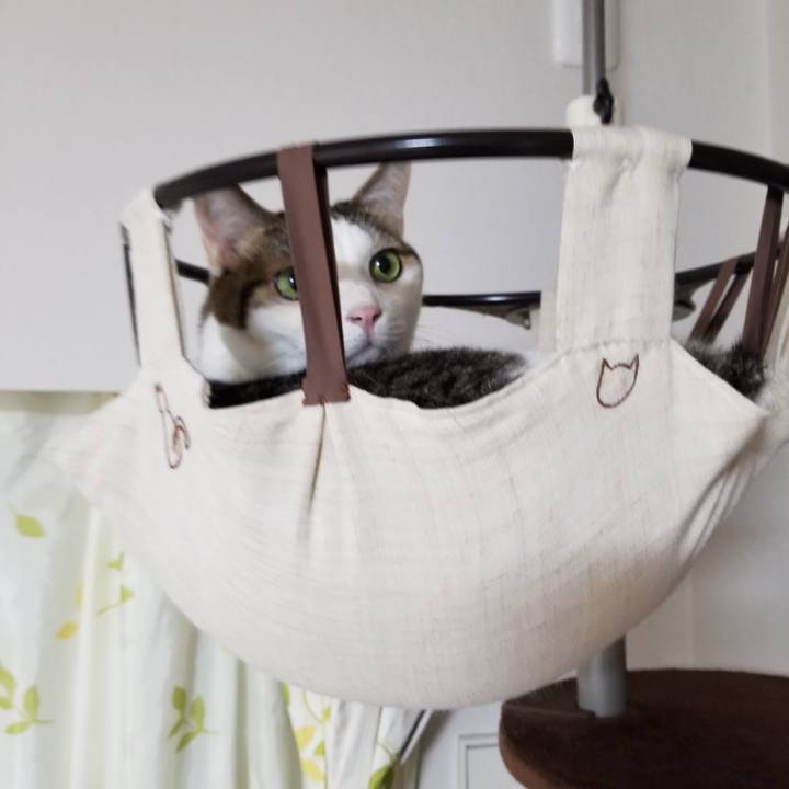 9a102888 d4ba 44f8 891e 1f3658a73cf7 1600171653520