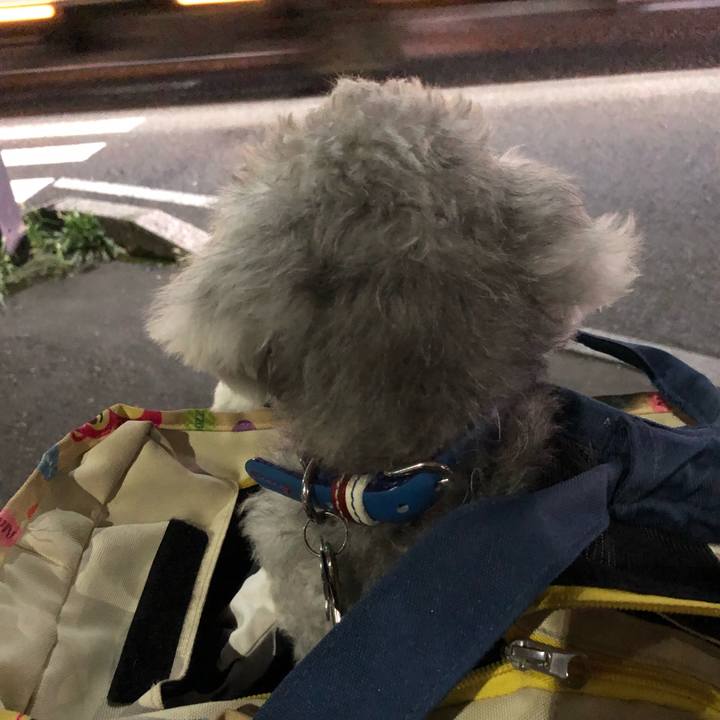 9a102fa6 87d4 4e3d b242 93b9a69954bc 1661394881294