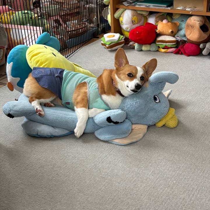 9a10d4b1 e302 4074 8562 5be827d1e4f1 1757827321783