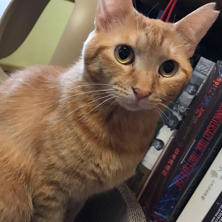 9a10e9b9 8ac3 48ce ba14 18efd98d8049 1590443425369