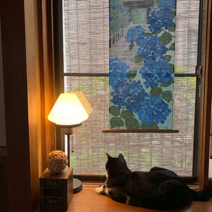 9a110687 2cdd 457a 9af8 af4eafc2b15f 1559455237083