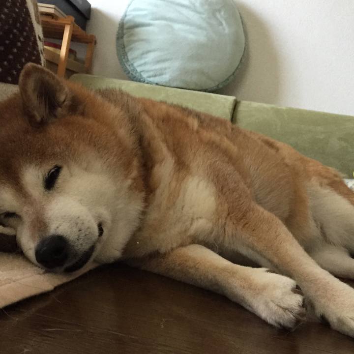 9a111f87 fcf4 4564 a009 48175d4647e4 1556418746868