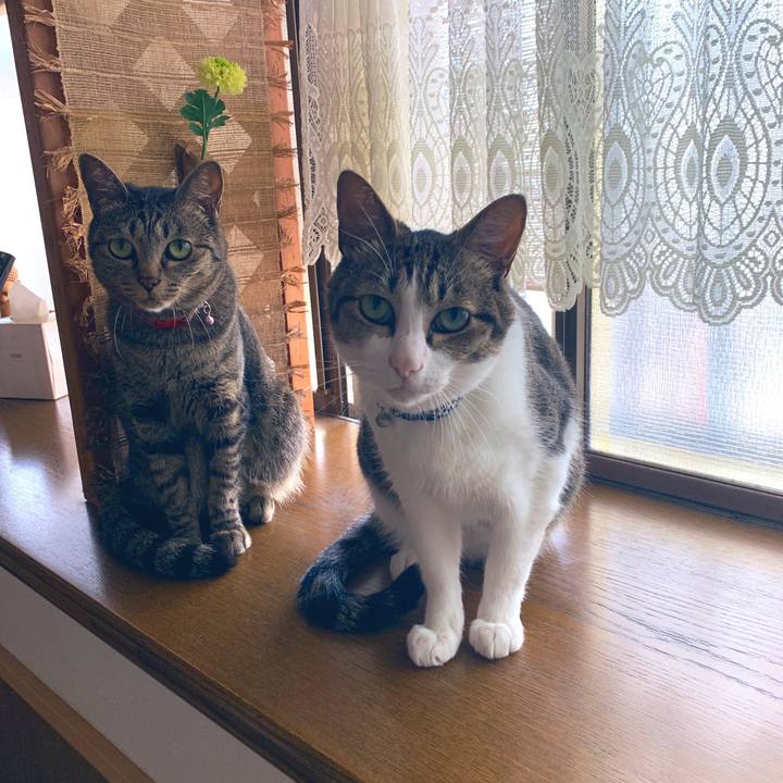 9a11294c 5748 4bc4 bfc0 a7786abde2de 1561631408736