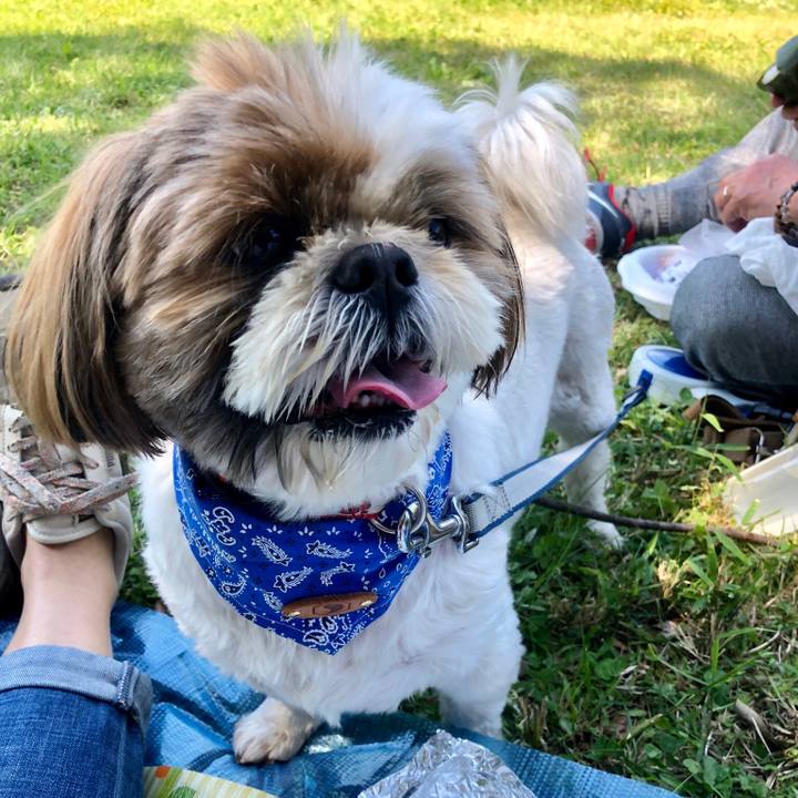 9a1130c3 7f4d 4234 85d6 54ed9db6c252 1525501261247