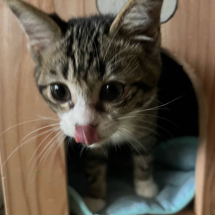 9a115584 b4e9 4e4f 8fe8 00fa69e2f4de 1689208567582