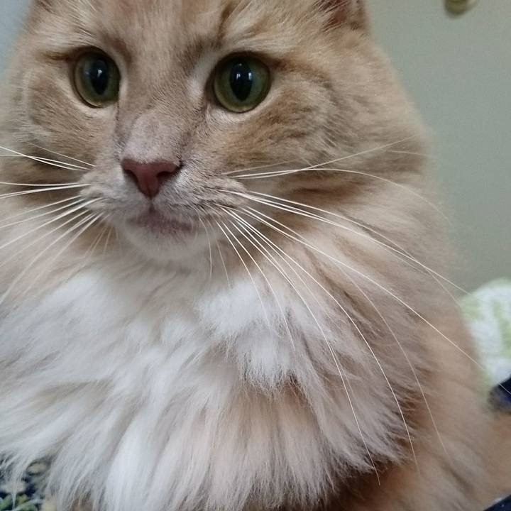 9a117fc5 2106 44d0 94f0 7ff1bbe8b7c5 1509169370199