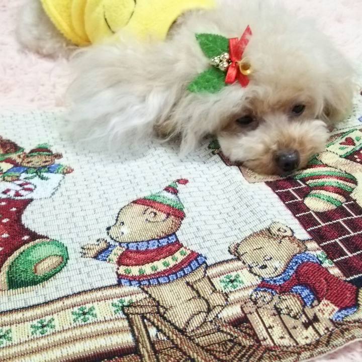 9a11980d 1d6c 44af bbc8 bf75a5c6d78a 1541769201252