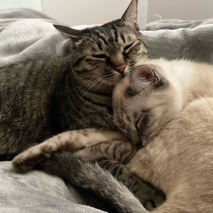 9a120f39 de1c 4f1c 8d4f c0a9da9cda77 1601427778000