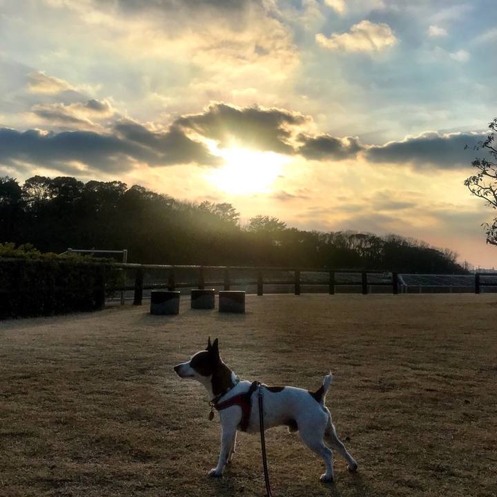 9a12248e eb28 4c53 b636 3ac0c341562c 1520164742969