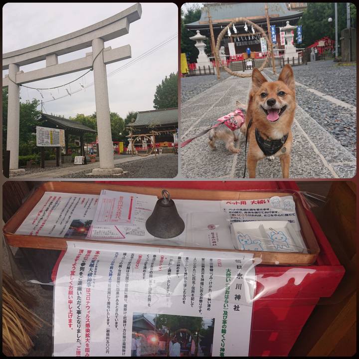 9a125c2f cae9 4b8f b24a 2bb9695342fd 1593471060068