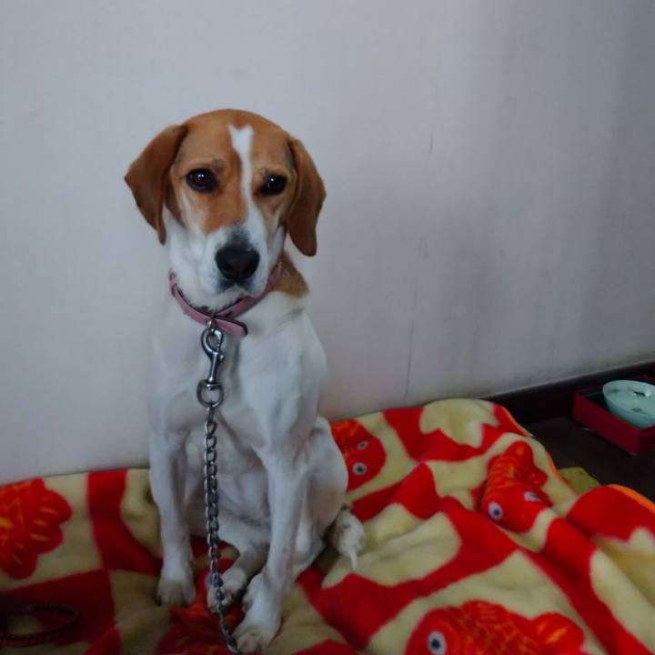 9a125e2b 1267 4487 81c1 1eb1adffb4be 1579835270861