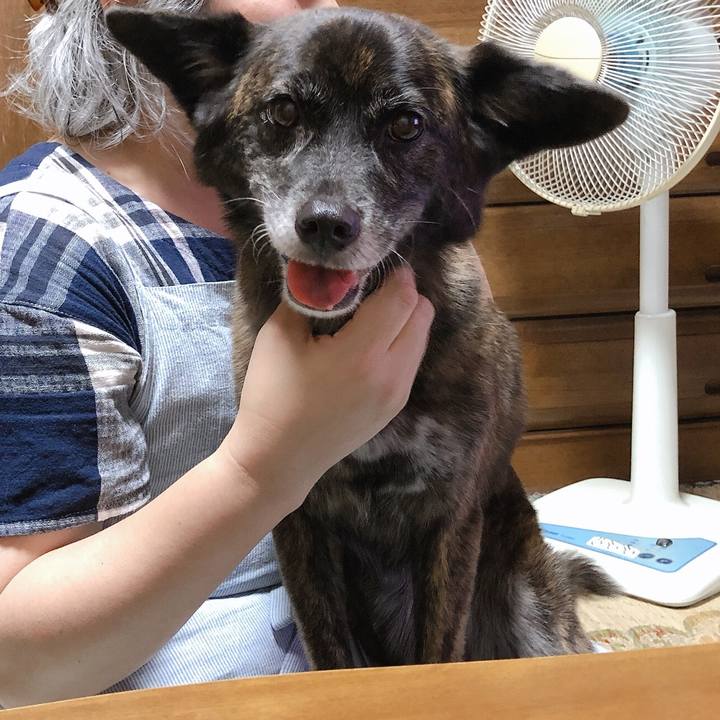 9a12679a 7260 40ed 93e4 4d7b1fc10041 1569167169645