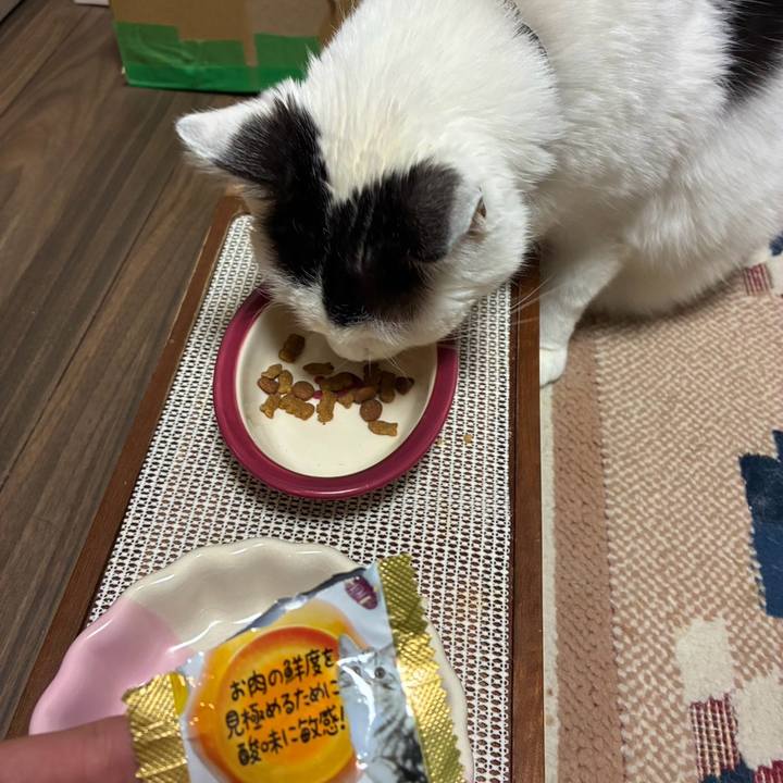 9a128f03 c002 4527 8967 b685e07503c4 1743958103255