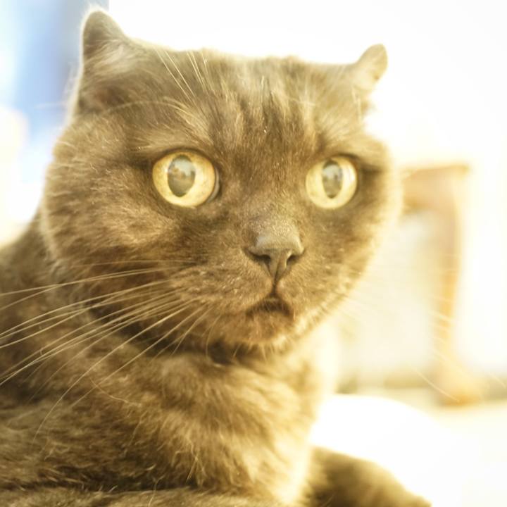 9a12a69e bbed 47e0 8634 c6c822957ef3 1629727241236