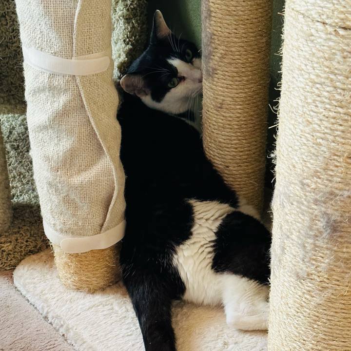 9a12b1b1 4473 48c8 a00d 1447a70d2a18 1699839226160