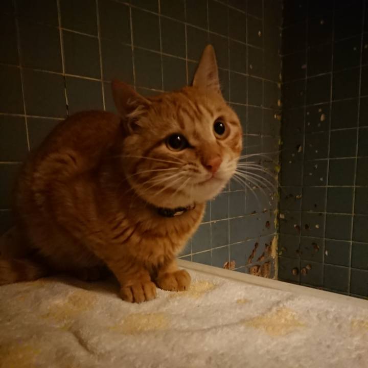 9a12b4c6 8a59 4ddd 90e5 abfa9b551f38 1648812915080