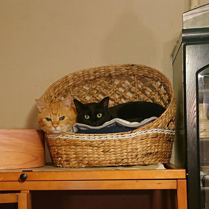 9a12c44d 5a3b 415e b96a fac39ea8c617 1541896702921