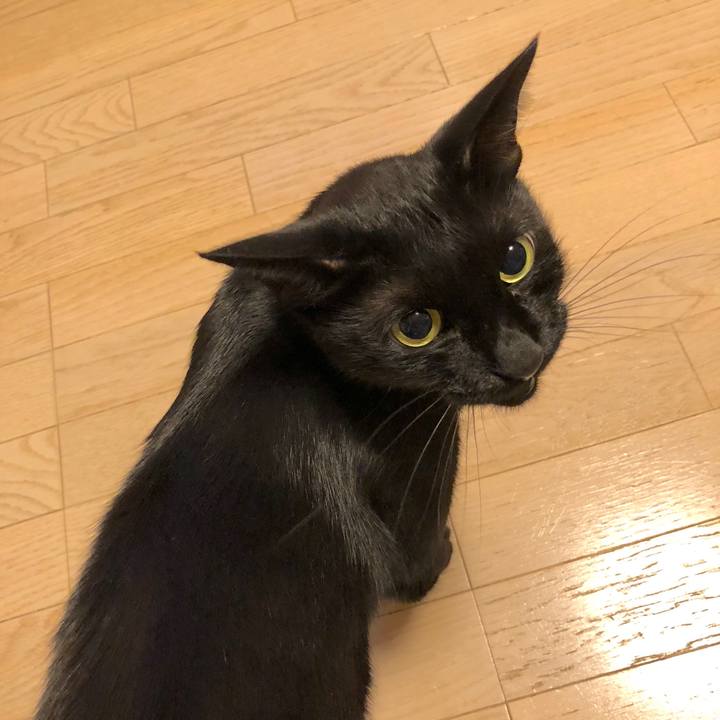 9a12d23c f7ab 4621 af5b d77db5dc4185 1534421062983