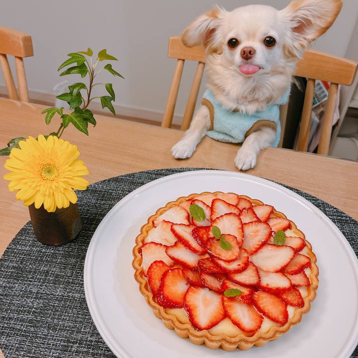 9a12f025 666c 4237 aa67 83c58496df96 1700483605125